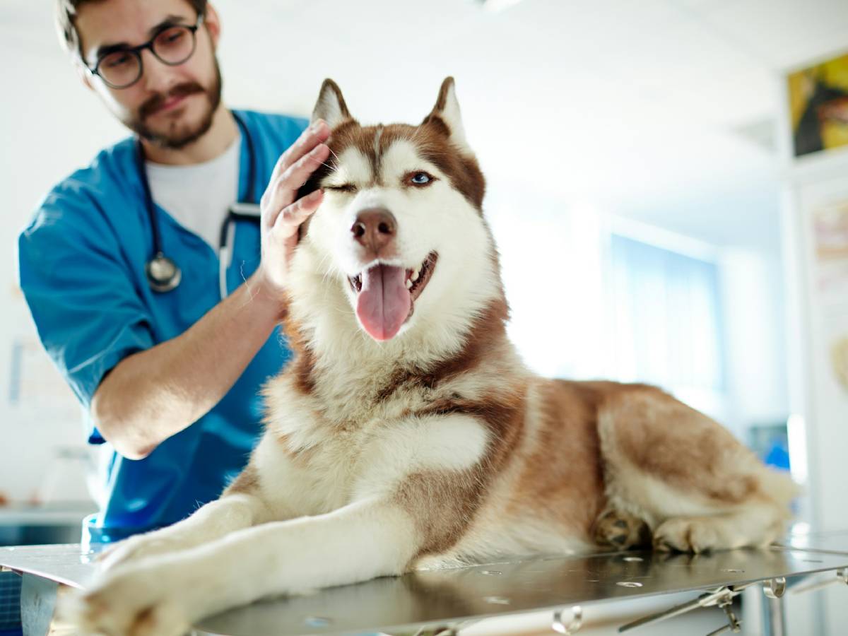 Internal Medicine Referral
