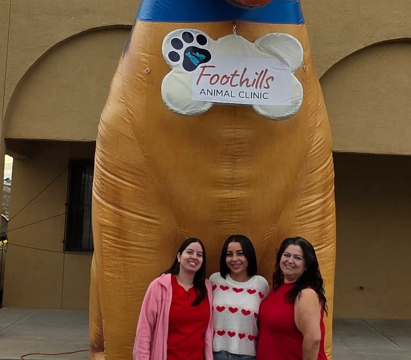 foothills-animal-clinic-about-us